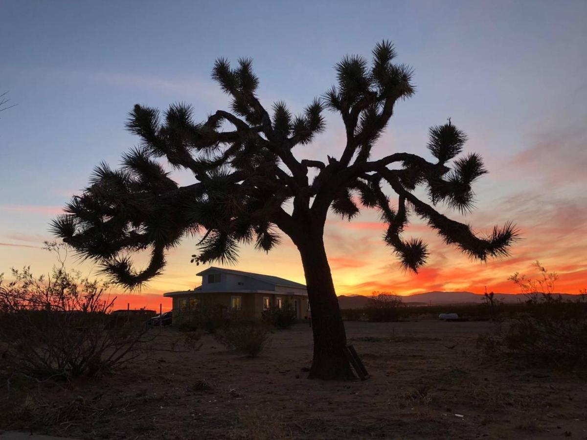Villa The Farmhouse Retreat: 5 Acres, Hot Tub, Sleeps 10, Ac Joshua Tree Exterior foto